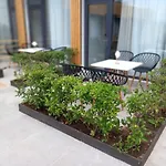 Kapahi Pefkari