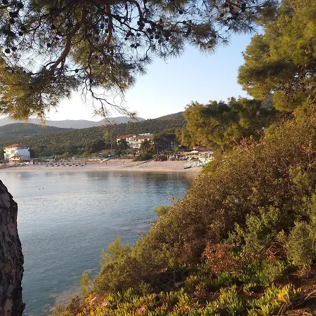 Kapahi Πευκάρι