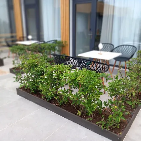 Kapahi Πευκάρι