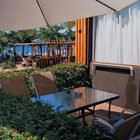 Kapahi 2* Πευκάρι