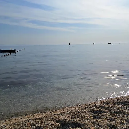 Kapahi 2* 페프카리